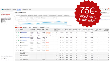 Beratung bei Google Adwords, Bing und Facebook Google Adwords
